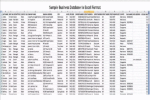 b2b 2 25 Million record B2B US Business Database